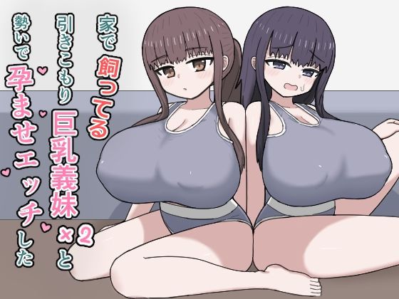 【今だけ無料】家で飼ってる引きこもり巨乳義妹×2と勢いで孕ませエッチした（d_764771）